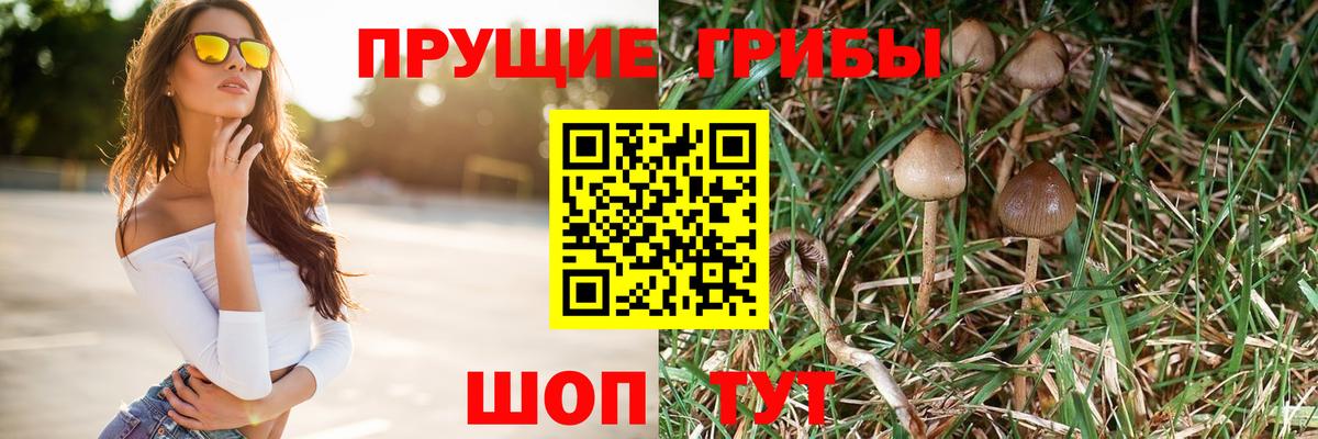 Псилоцибиновые грибы ЛСД  купить наркотики цена  Аша  Вход с VPN 